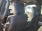 2026 Ford F-150 Platinum 4WD SUPERCREW