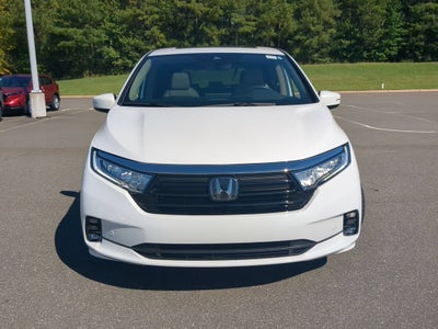 2024 Honda Odyssey Elite
