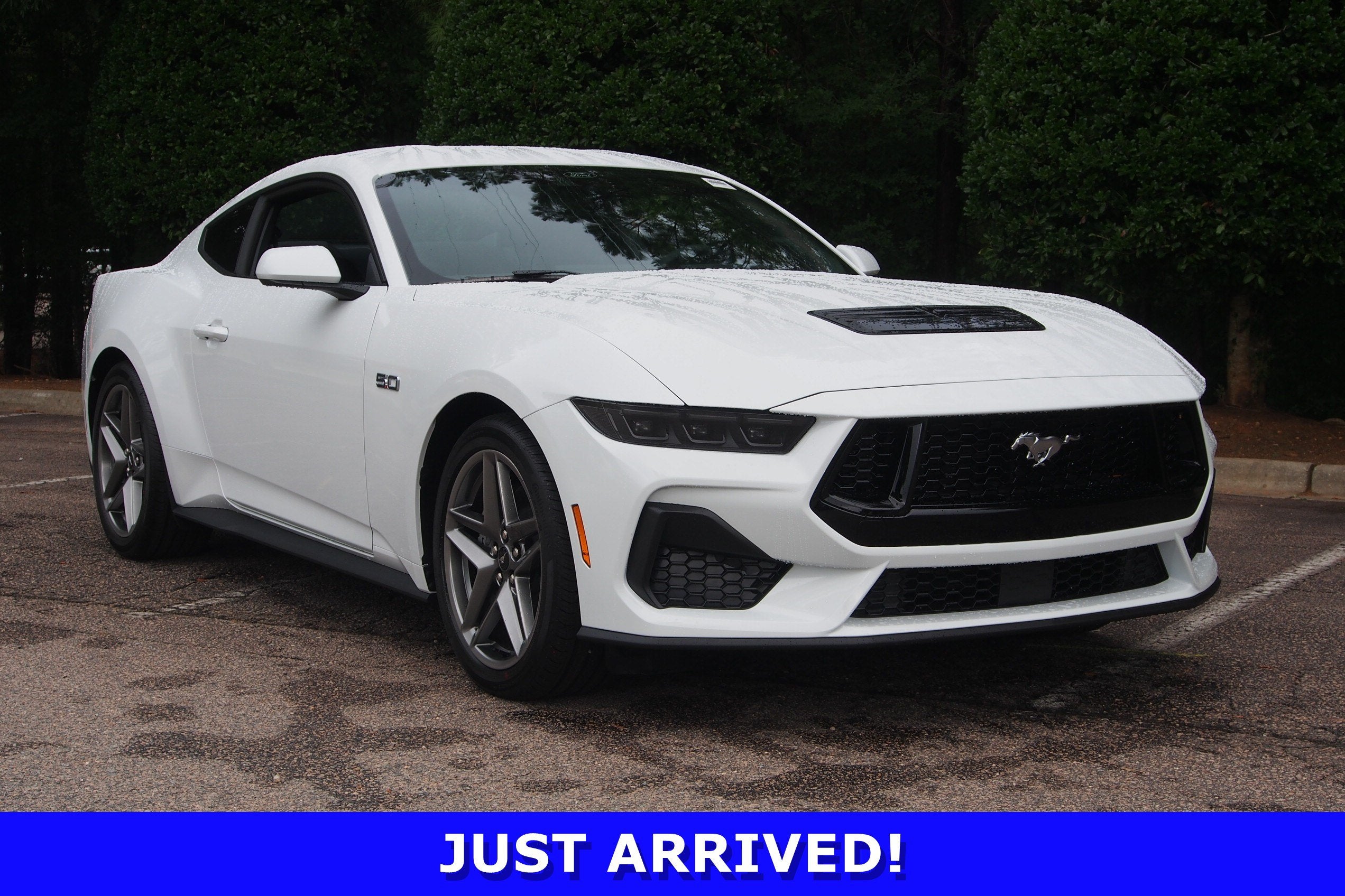 2026 Ford Mustang GT