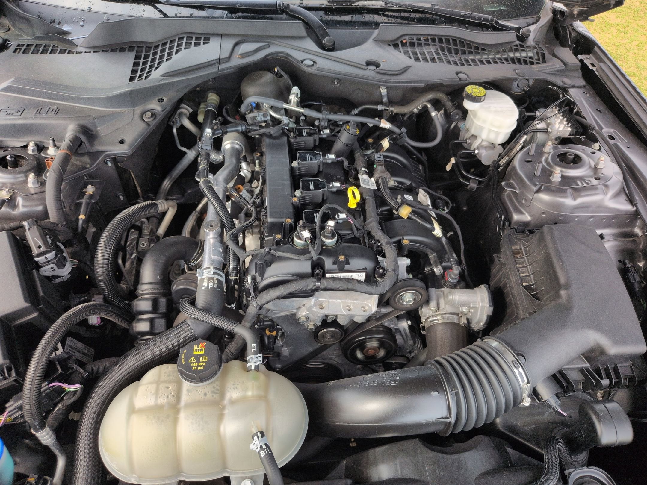 2023 Ford Mustang EcoBoost