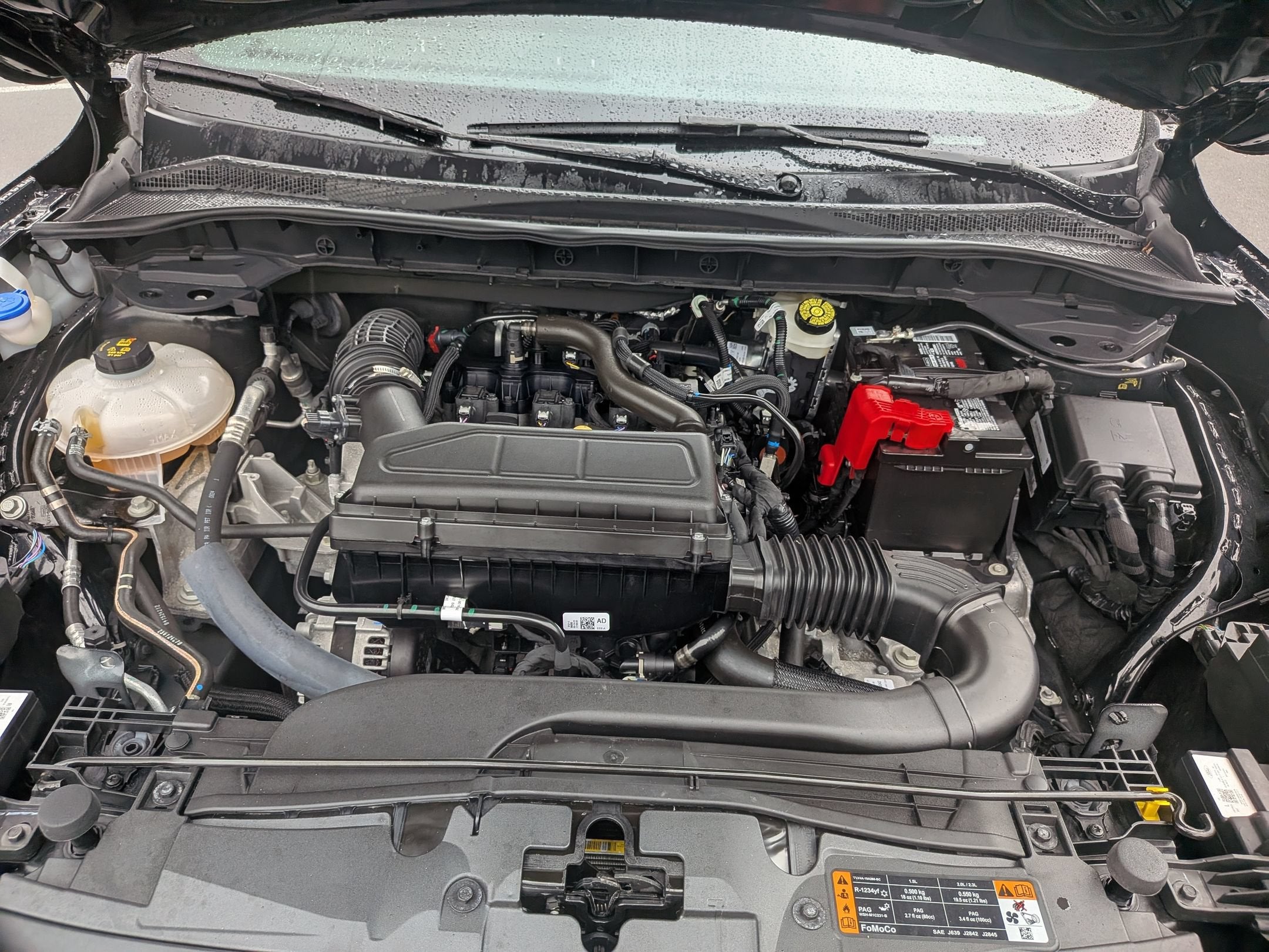 2024 Ford Escape ST-Line