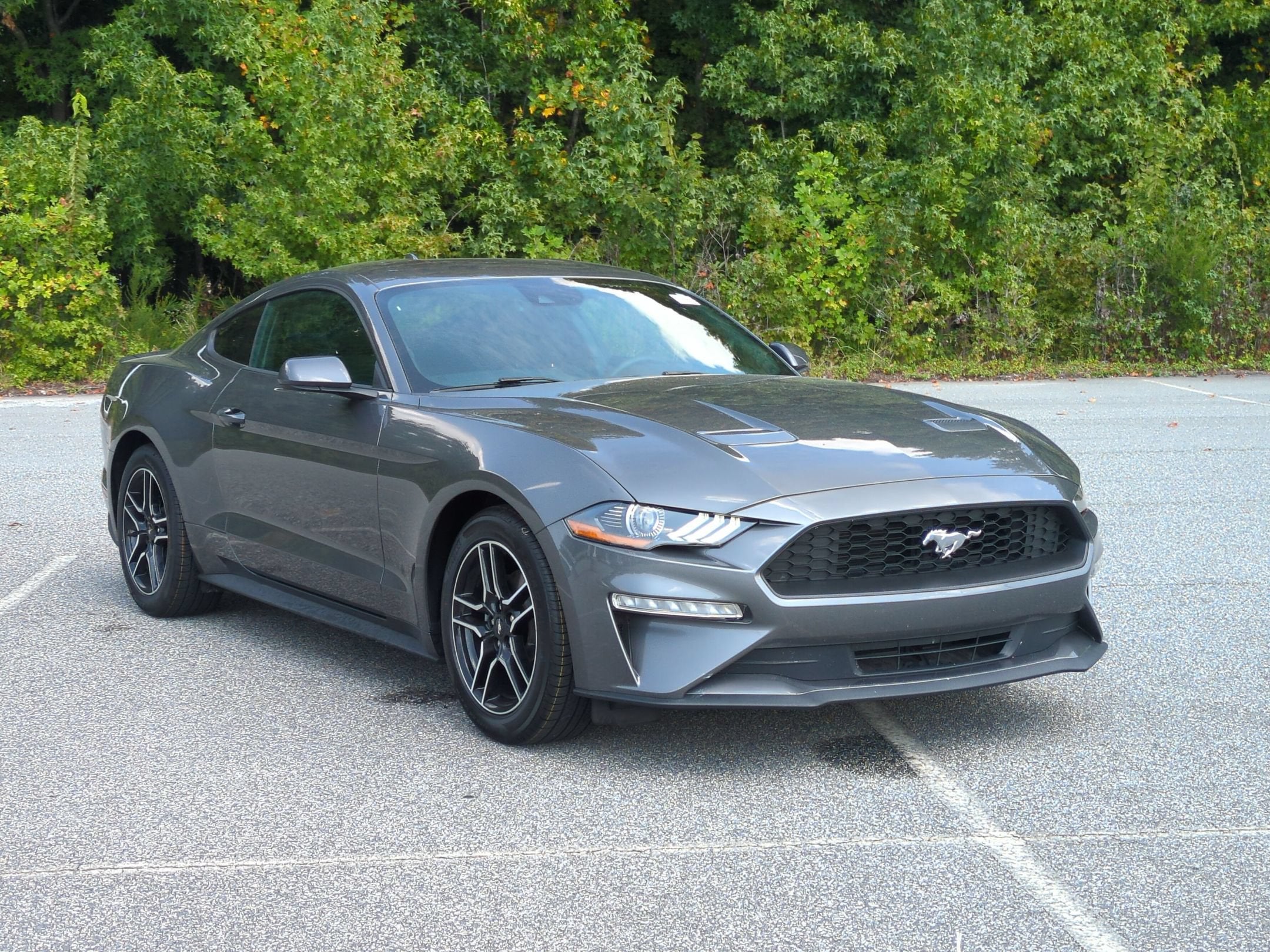 2022 Ford Mustang EcoBoost