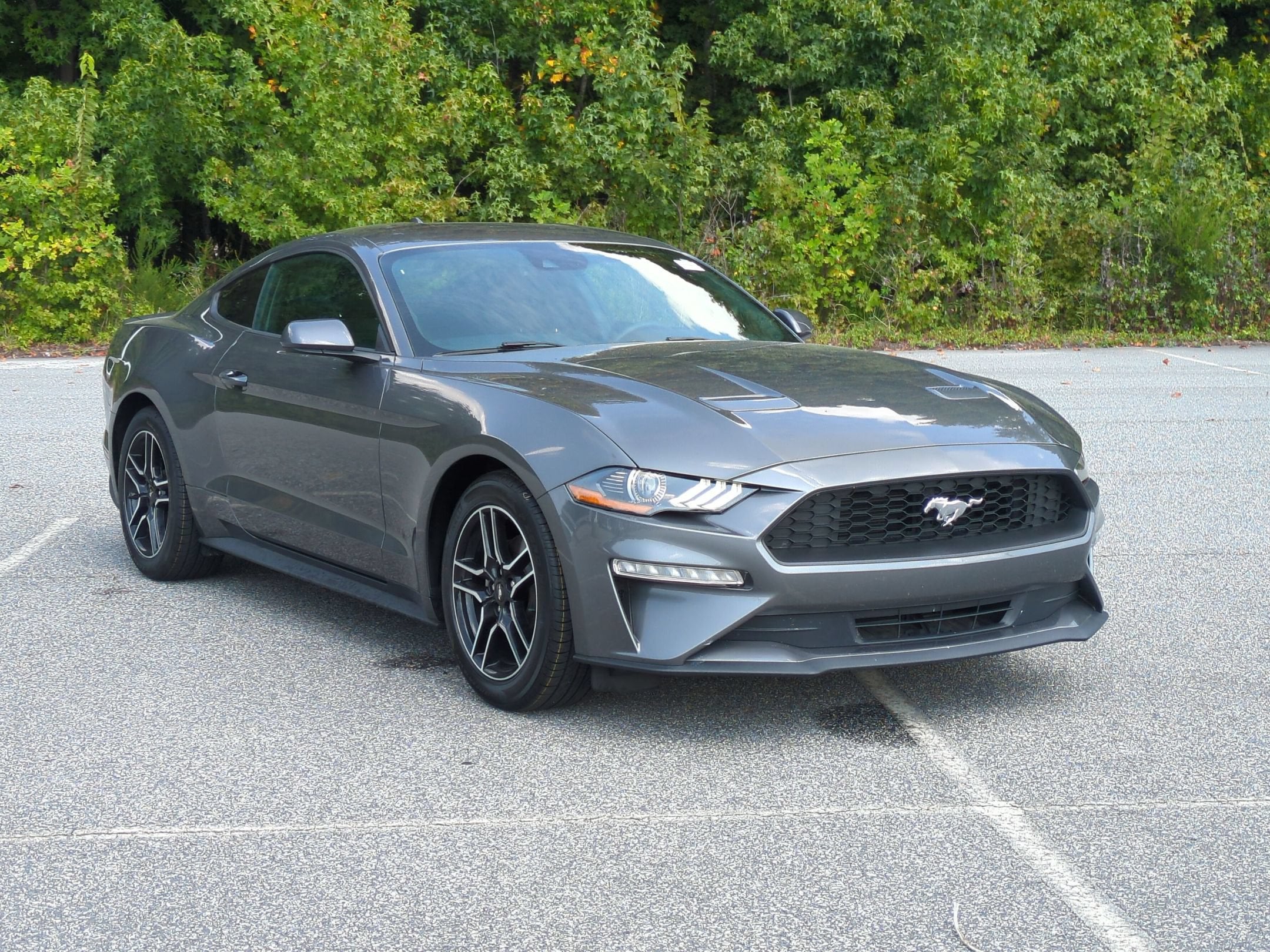 2022 Ford Mustang EcoBoost