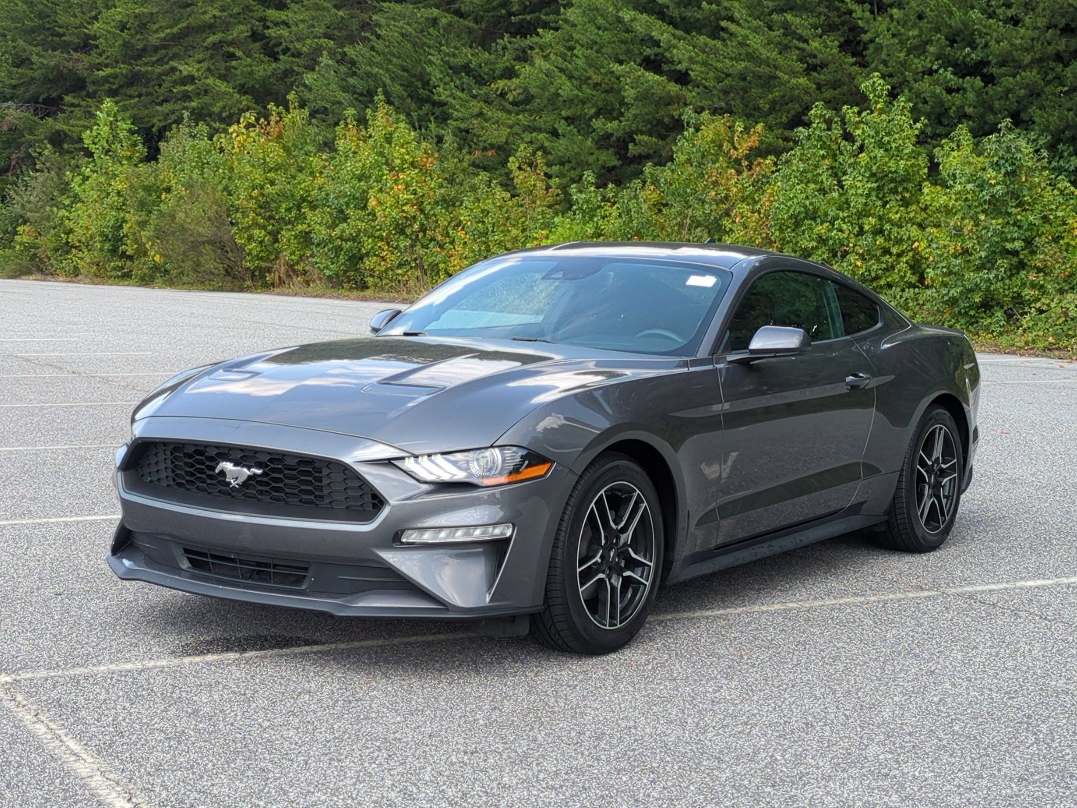 2022 Ford Mustang EcoBoost