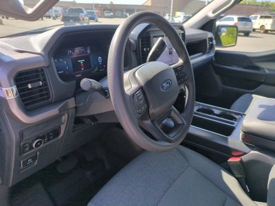 2025 Ford F-150 XL Hybrid