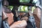 2027 Ford Expedition Max King Ranch