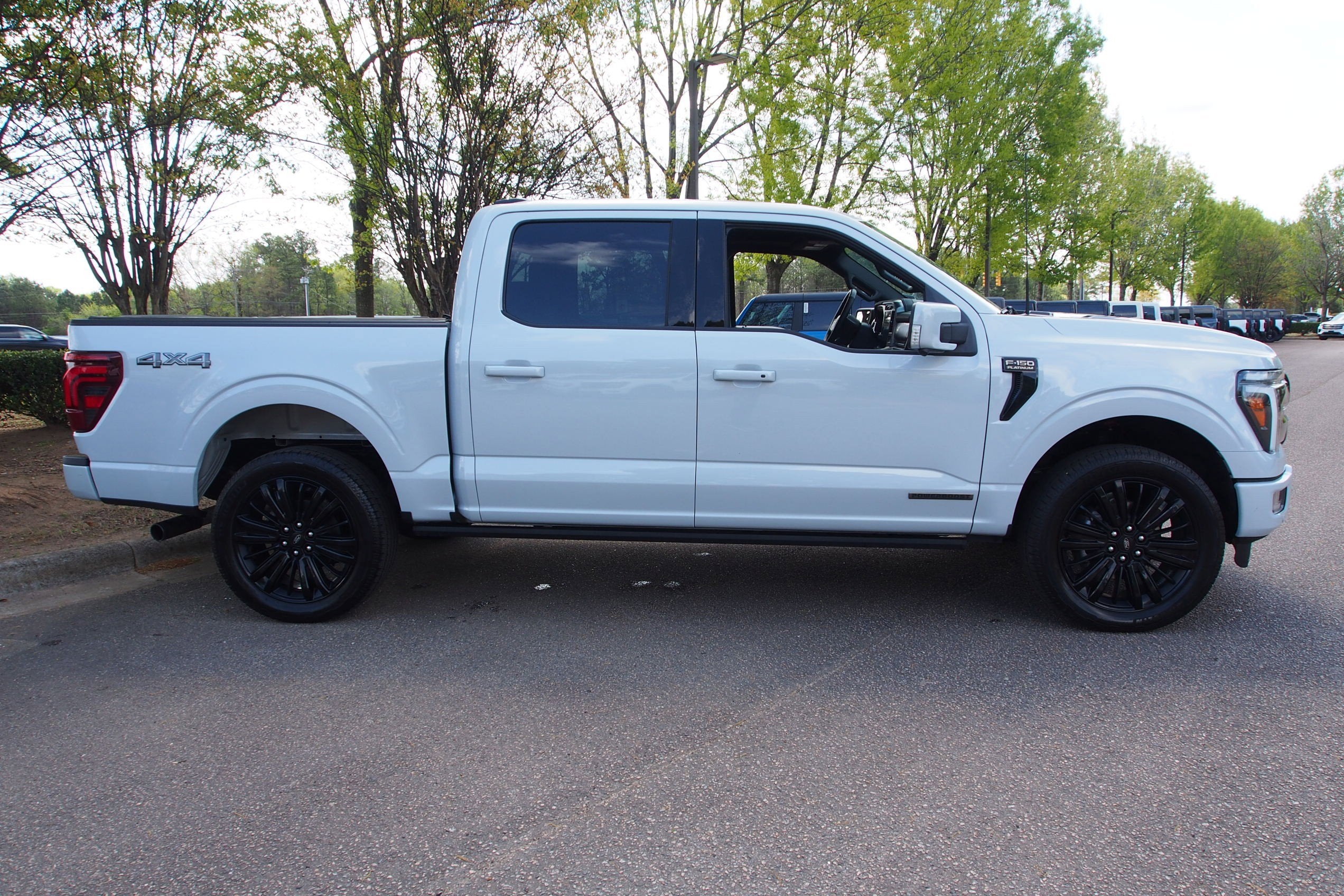 2025 Ford F-150 Platinum