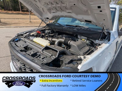 2025 Ford F-150 STX - Crossroads Courtesy Demo