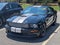 2007 Ford Mustang Shelby GT