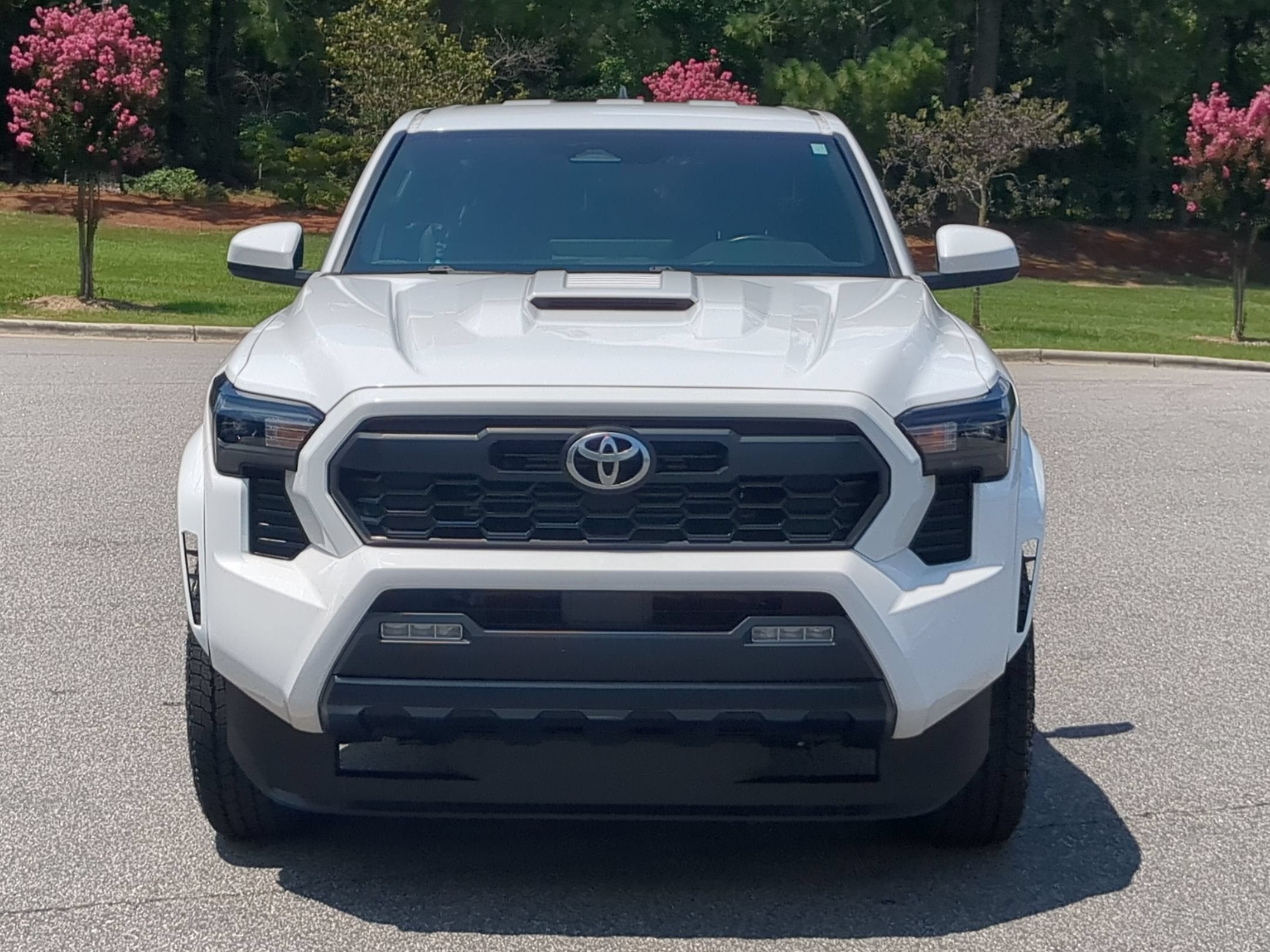 2024 Toyota Tacoma 2WD TRD Sport