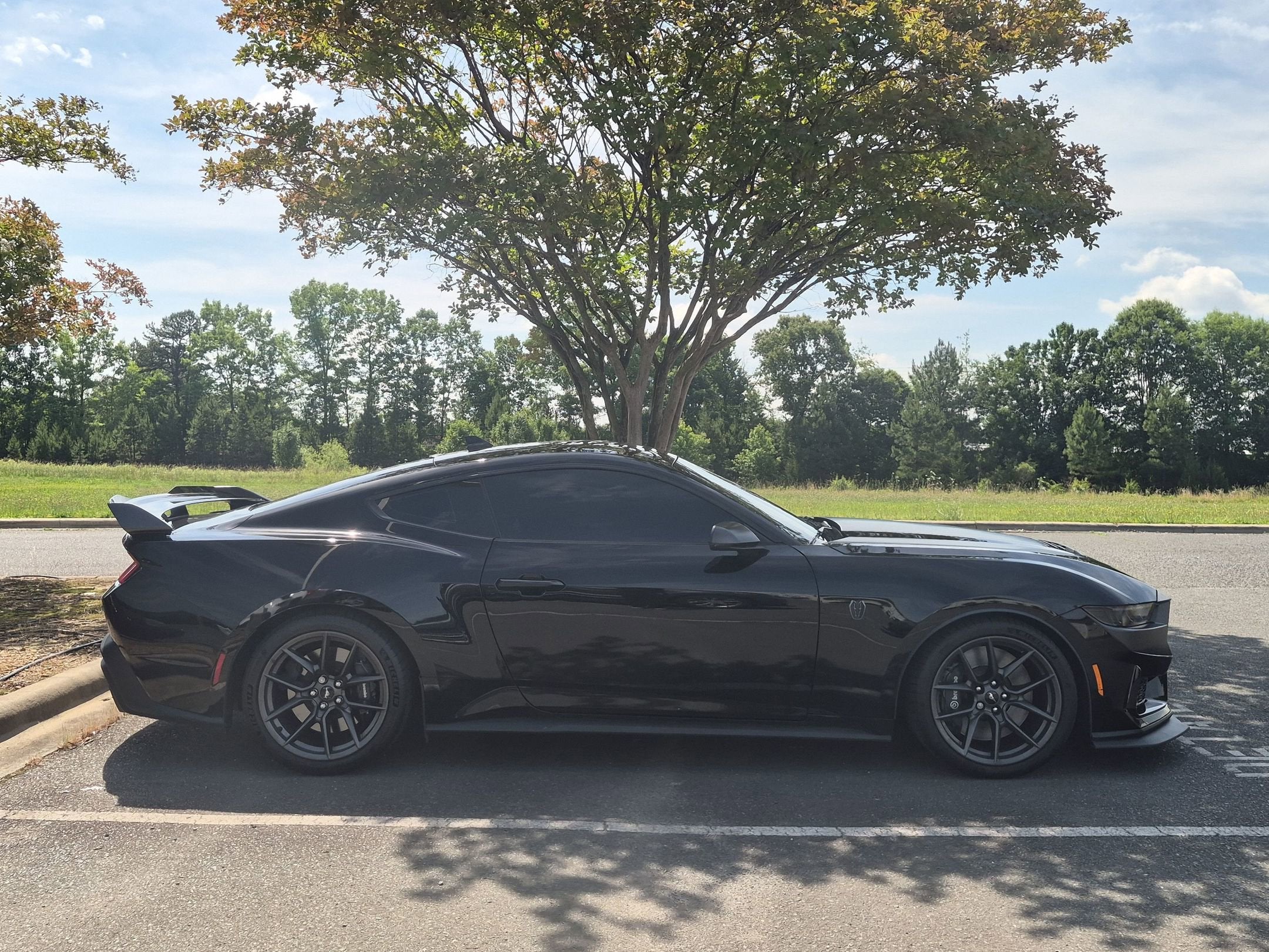 2024 Ford Mustang Dark Horse