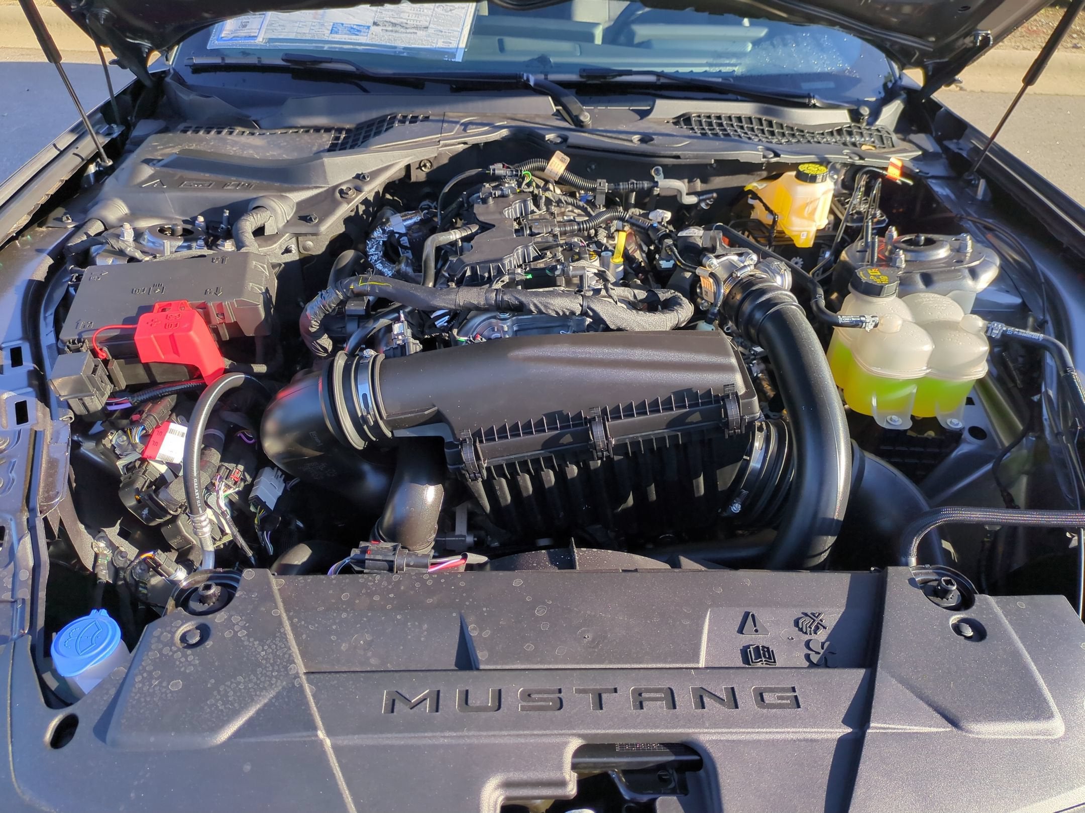 2026 Ford Mustang EcoBoost