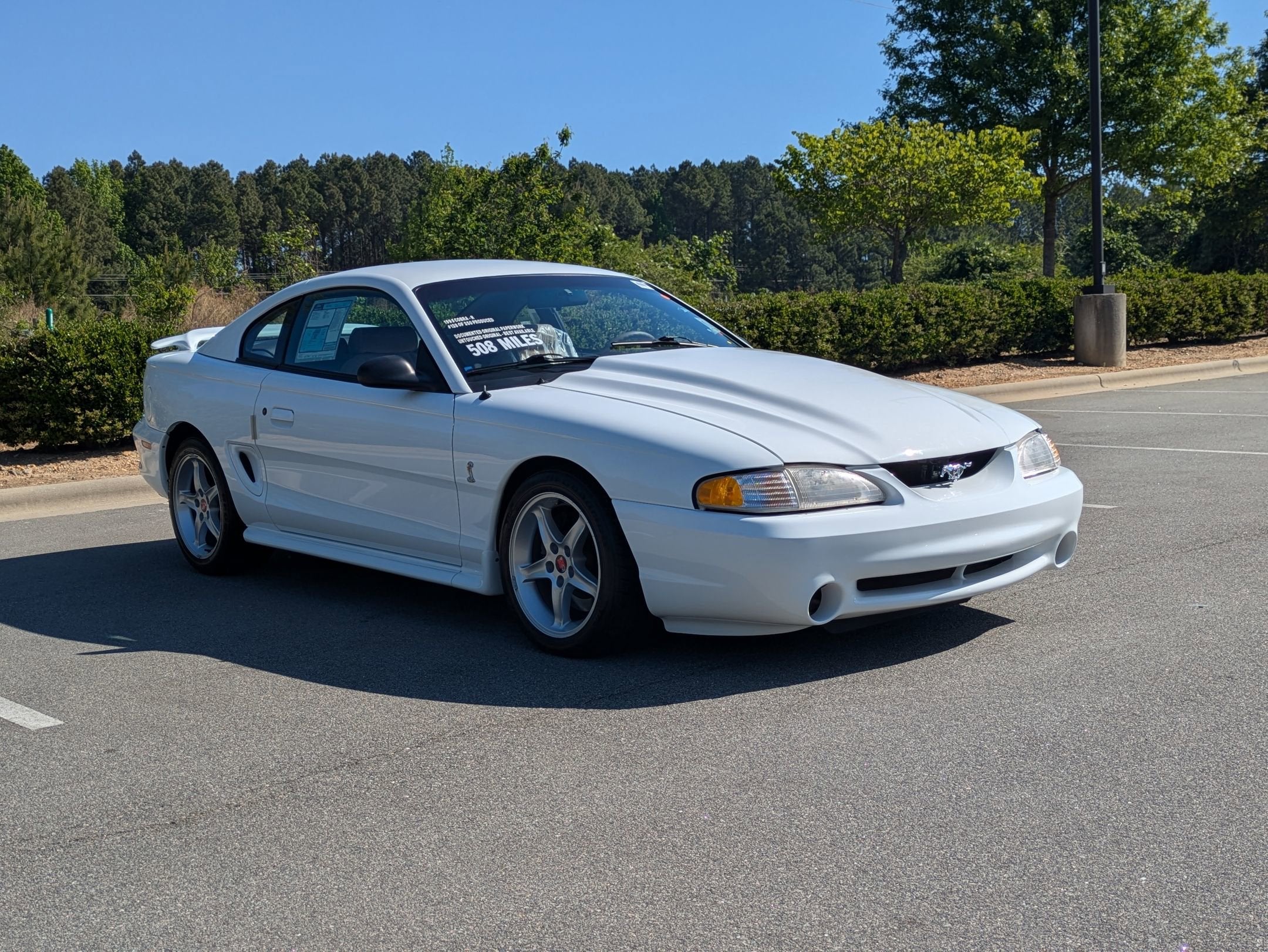 1995 Ford Mustang SVT Cobra R