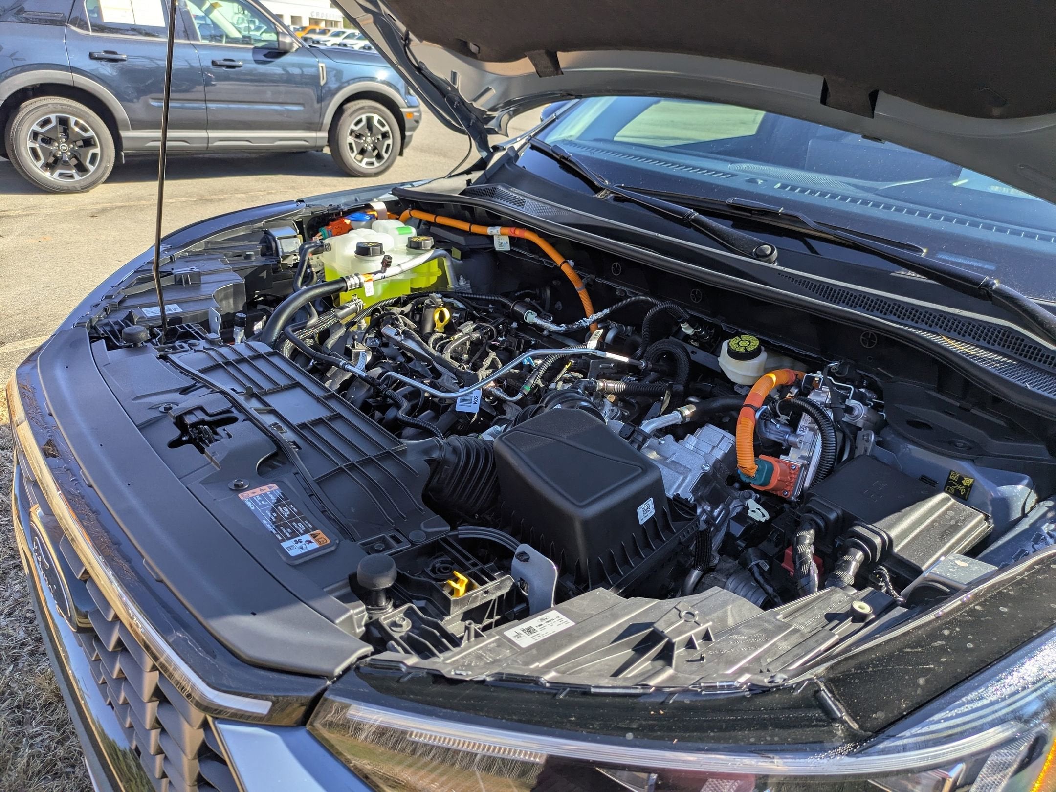 2026 Ford Escape Platinum