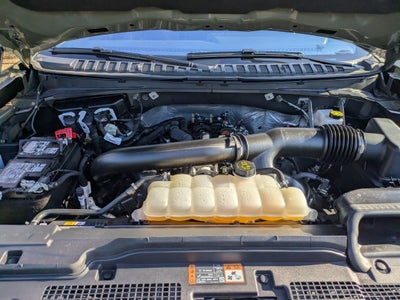 2025 Ford Expedition Tremor