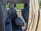 2025 Ford Ranger XLT - Crossroads Courtesy Demo