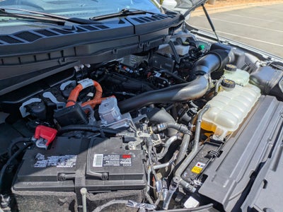 2024 Ford F-150 Platinum