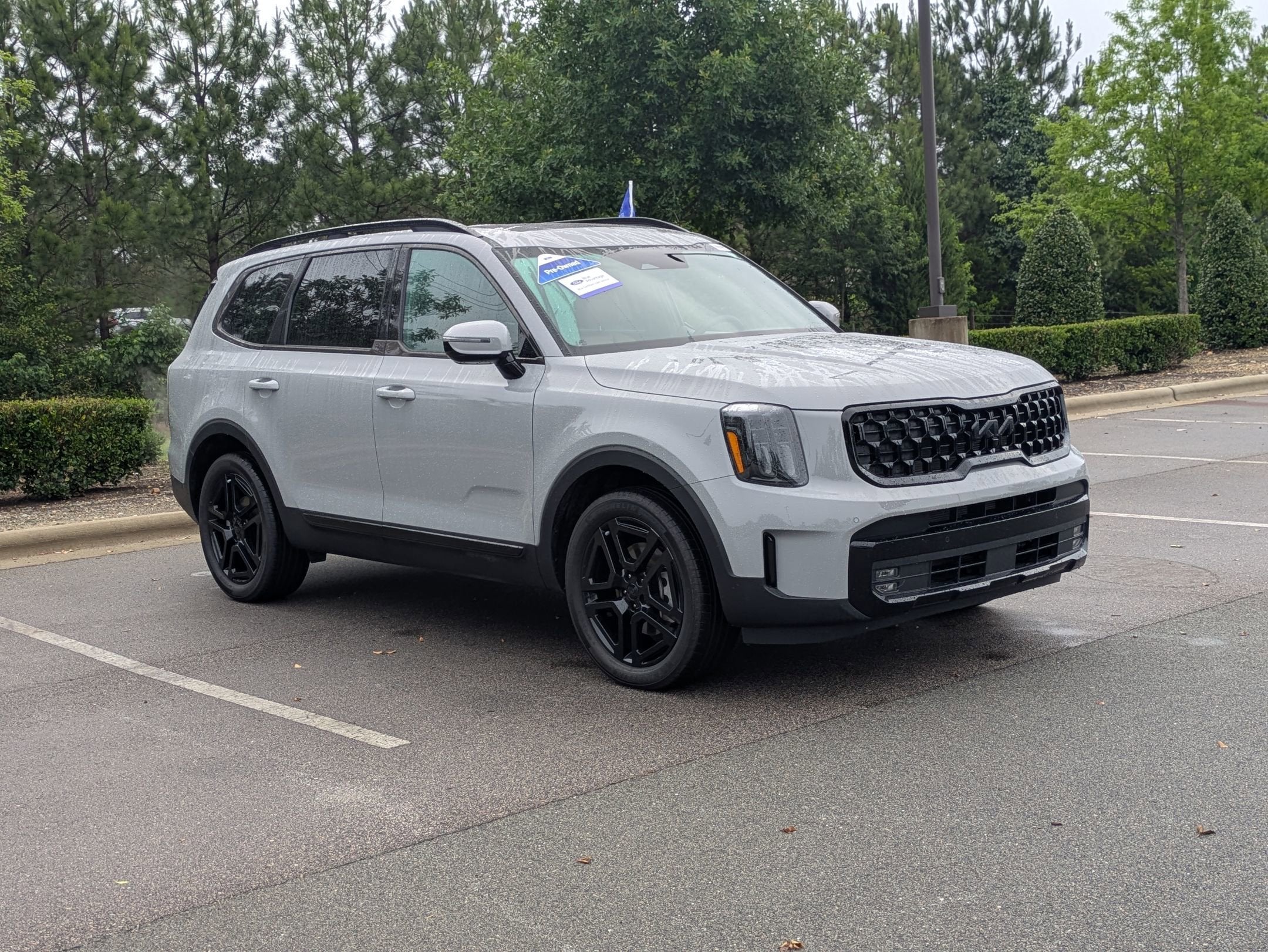 2025 Kia Telluride SX-Prestige X-Line