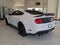 2020 Ford Mustang Shelby GT500