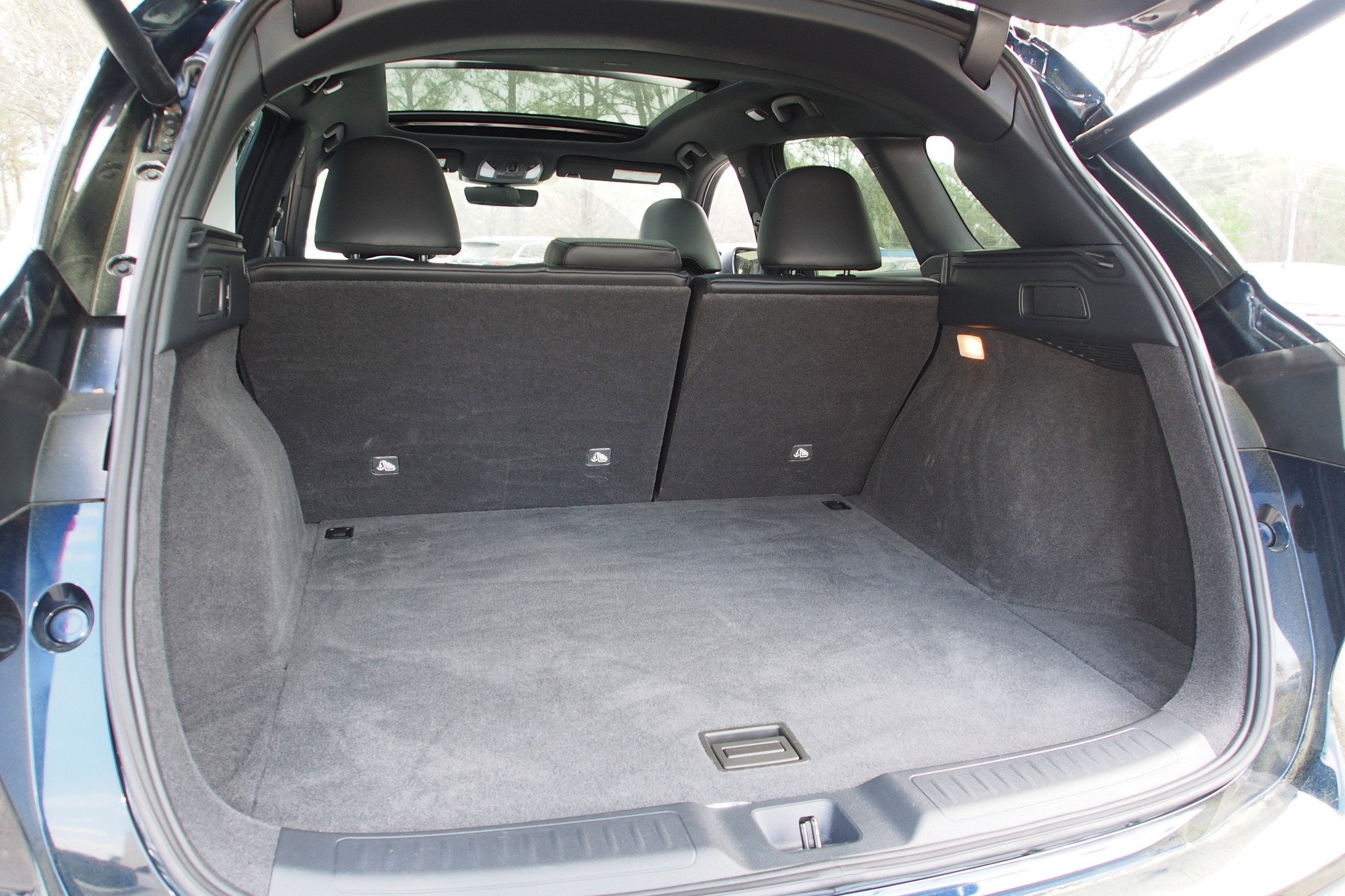 2023 INFINITI QX50 SPORT