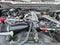 2025 Ford Super Duty F-350 DRW XLT