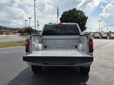 2024 Ford F-150 XLT PURE MICHIGAN